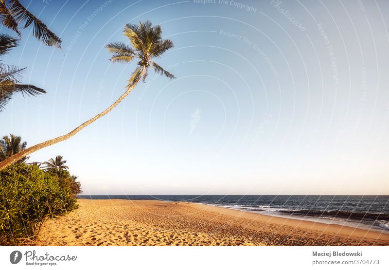 Retro-getontes Bild eines leeren tropischen Strandes bei Sonnenuntergang. Handfläche Sommer Natur retro MEER sich[Akk] entspannen Flucht Feiertage Urlaub