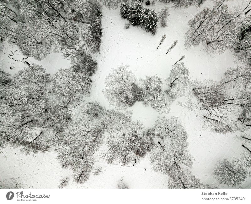 Bäume von oben im Winter schneebedeckt von einer Drohne gefilmt Hintergrund Baum Natur Saison Holz Kiefer im Freien verschneite Landschaft Wetter Eis gefroren
