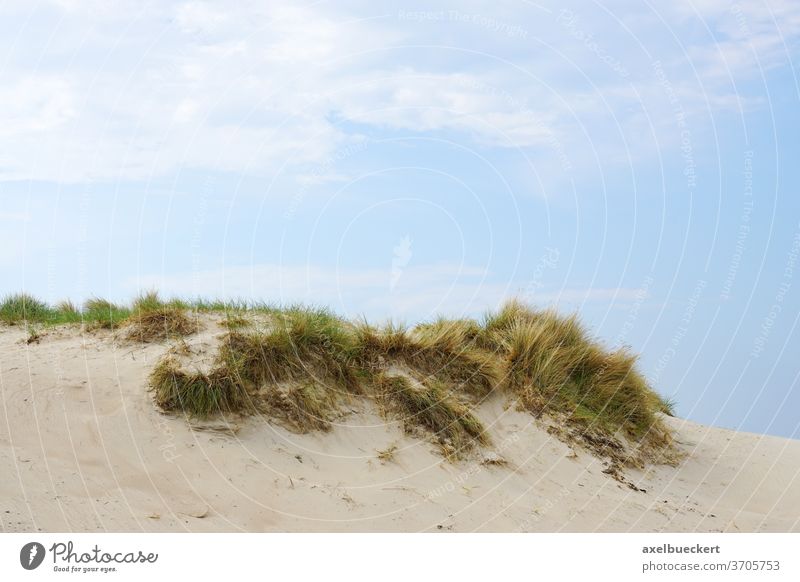 Sanddüne mit Dünengras sanddüne Strand Urlaub Deutschland Natur Landschaft Gras Hintergrund Hügel Küste Meer Himmel Sommer reisen niemand Tag Nordsee Ostsee