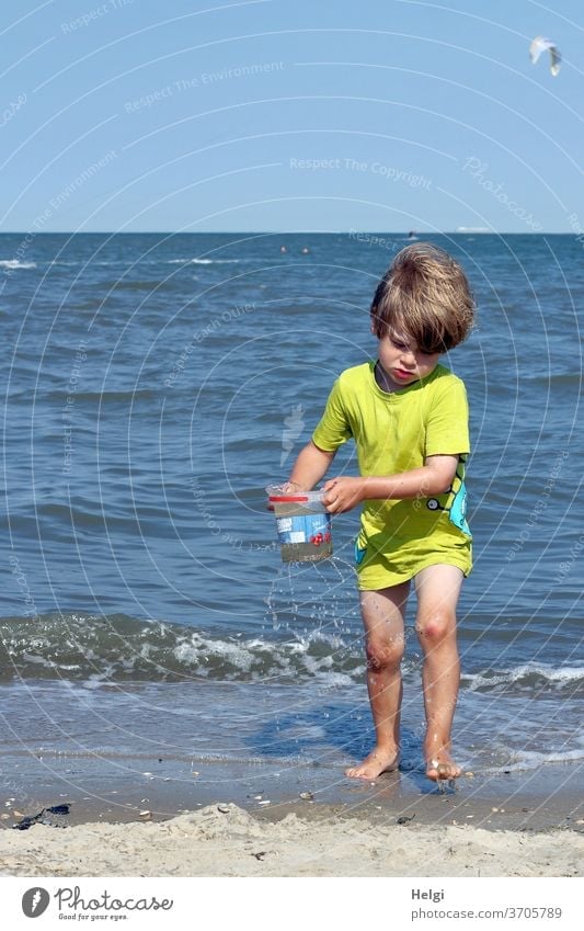 Wasserträger am Nordseestrand Junge Mensch Kind Strand Meer spielen Eimer tragen transportieren Sand Horizont Natur Umwelt Freude Spaß Spielen
