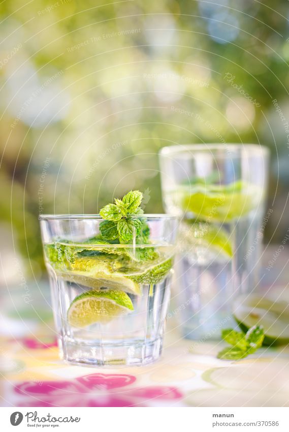sauer macht lustig Frucht Limettenscheibe Zitronenmelisse Ernährung Bioprodukte Getränk Erfrischungsgetränk Trinkwasser Limonade Alkohol Longdrink Cocktail