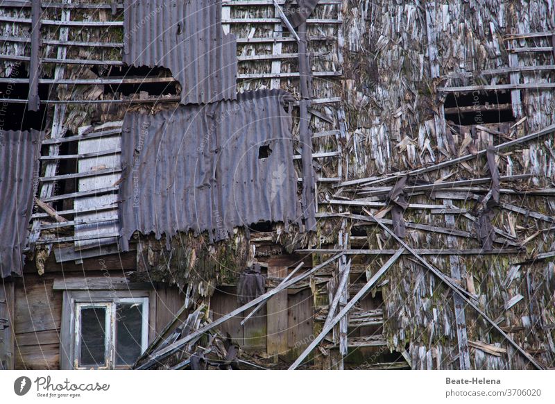 Es war einmal: maroder hölzerner Bauernhof Schwarzwaldhaus kaputt Holzhaus Außenaufnahme Haus Gebäude Wand Verfall Menschenleer Fassade Vergänglichkeit