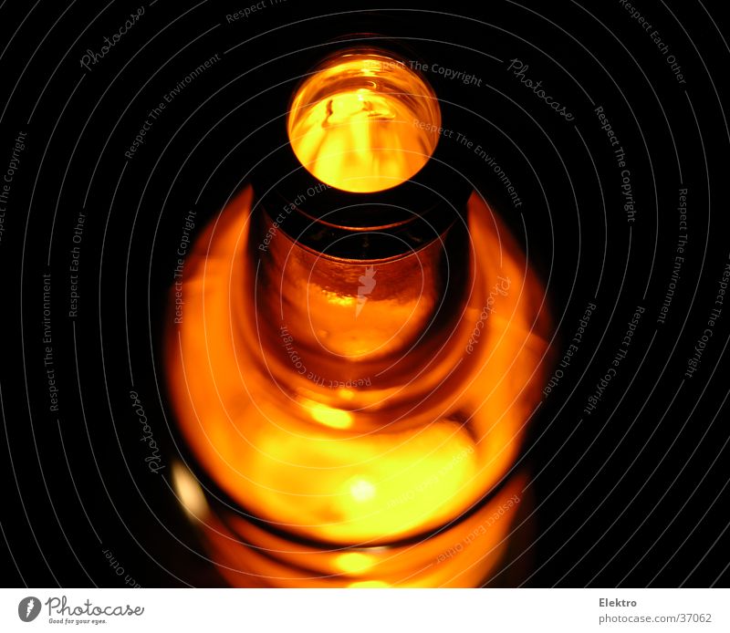 burning Holsten Bier Flasche Glasbehälter Beleuchtung braun Alkoholisiert Rausch Feste & Feiern leer Taktik Club Kasten Alkohol