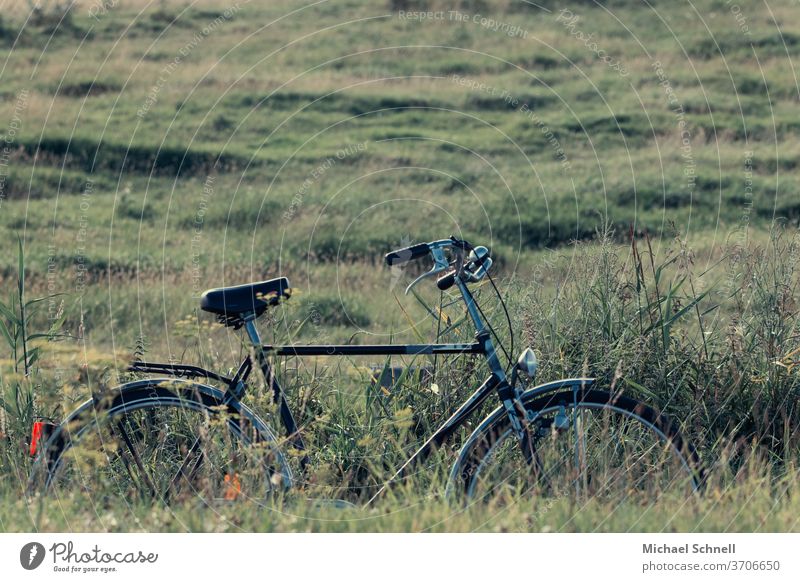 Fahrrad im Grünen Fahrradfahren Außenaufnahme Menschenleer grün Natur Naturliebe Naturerlebnis