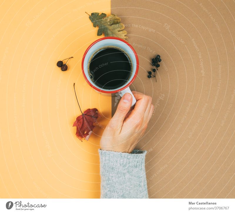 Die Hand einer Frau mit einer Tasse Kaffee und getrockneten Blättern. trocknen Herbst heiß Trockene Blätter warmer Hintergrund Cremefarbe Nägel Finger Pullover