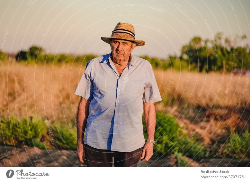Seriöser Senior-Bauer mit Hut im Feld stehend Landwirt Mann ernst Sommer selbstbewusst Porträt Landschaft älter männlich ländlich Ackerbau Natur Bauernhof reif