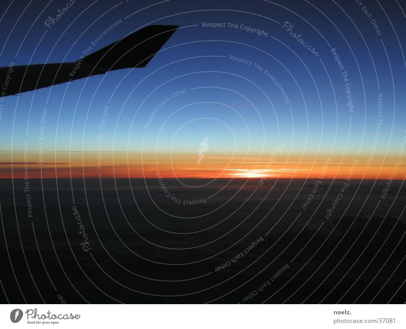 FLUG | SONNENUNTERGANG Flugzeug Sonnenuntergang Wolken Wolkendecke Luftverkehr Himmel Flügel blau Blauer Himmel