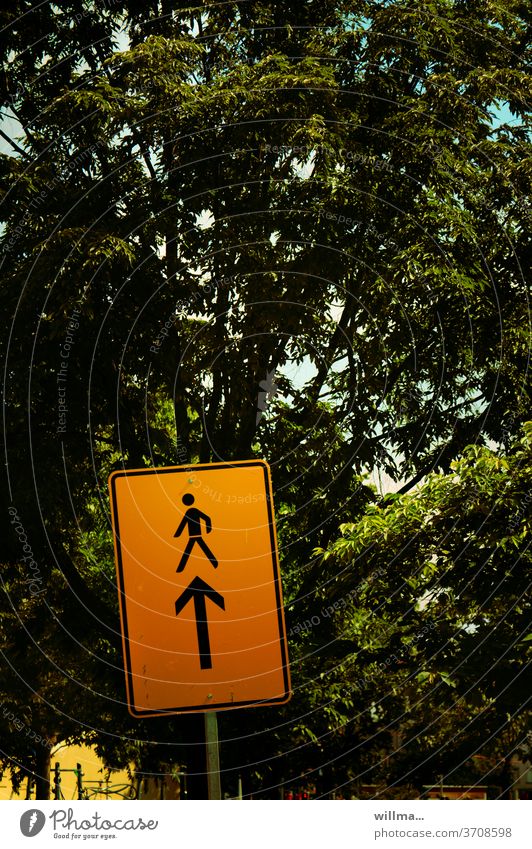 ich habe ein problem Verkehrsschild gelb Pfeil Person Wegweiser Vorwegweiser Umleitung Baum