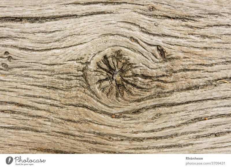 Muster einer alten Holzbohle Natur Außenaufnahme Menschenleer Nahaufnahme Tag Detailaufnahme Schwache Tiefenschärfe Gedeckte Farben Strukturen & Formen