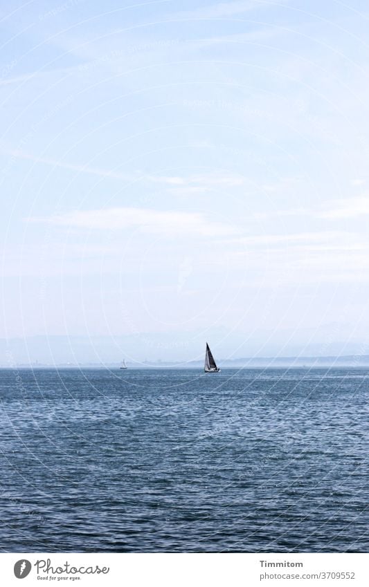 Weite und freie Fahrt Bodensee Wasser Boot Segel Segelboot Wellen Segeln Himmel Ferien & Urlaub & Reisen Horizont Tag Farbfoto Wind