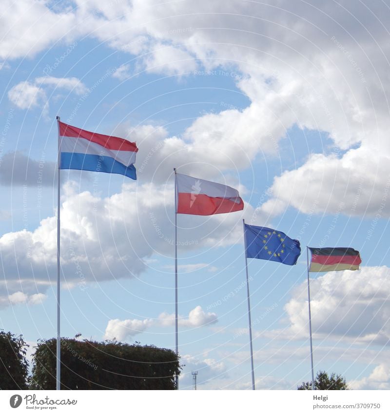 Multi-Kulti - Flaggen verschiedener Nationen wehen vor blauem Himmel mit Wolken Fahne Nationalflagge Europa Europaflagge Deutschland Deutschlandflagge