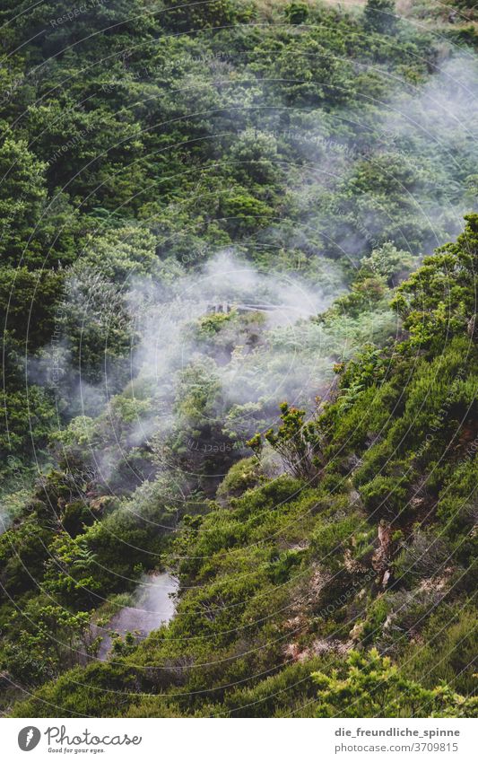 Heiße Quellen quellen dämpfe vulkan Heisse Quellen Außenaufnahme Landschaft Vulkan Natur heiß Umwelt außergewöhnlich Azoren Urelemente Wasserdampf Klima Tag