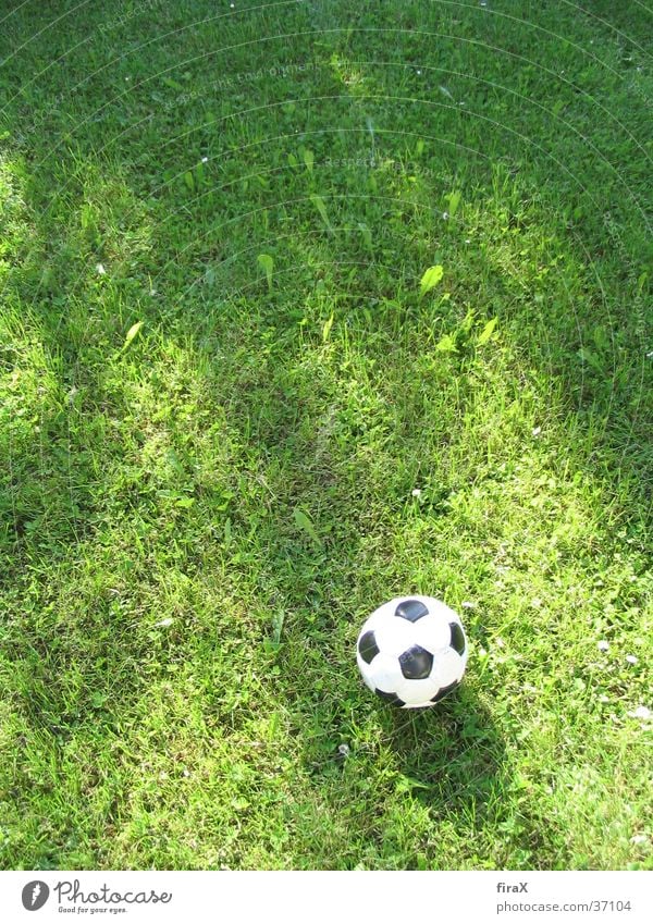 Wiese mit Fußball Gras grün schwarz Sport Ball Weis Schatten