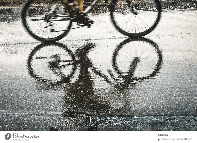 Fahrradfahrer schemenhaft als Spiegelbild auf dem Asphalt bei Regen Fahrradfahren Straße Verkehr Außenaufnahme Wege & Pfade Straßenverkehr Mobilität Bewegung