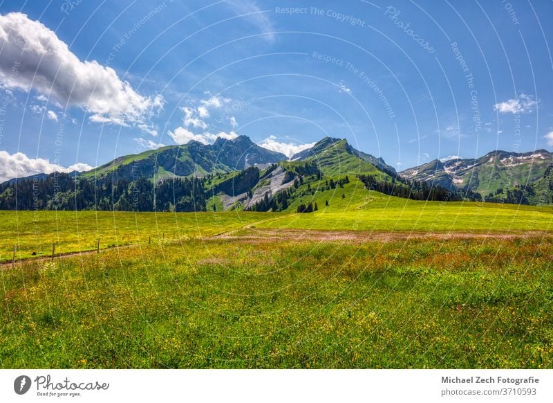wandern in der nähe von les mosses in den schweizer alpen Gras alpin Wildnis Tal Alpen Trekking Tourismus Waadt Wasser pic chaussy grün Natur im Freien Hügel