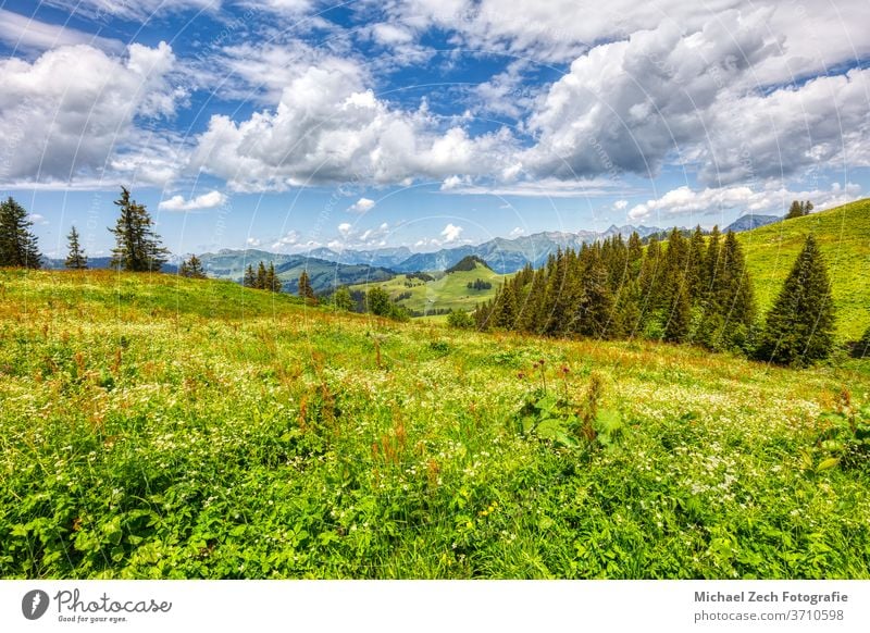 wandern in der nähe von les mosses in den schweizer alpen Gras alpin Wildnis Tal Alpen Trekking Tourismus Waadt Wasser pic chaussy grün Natur im Freien Hügel