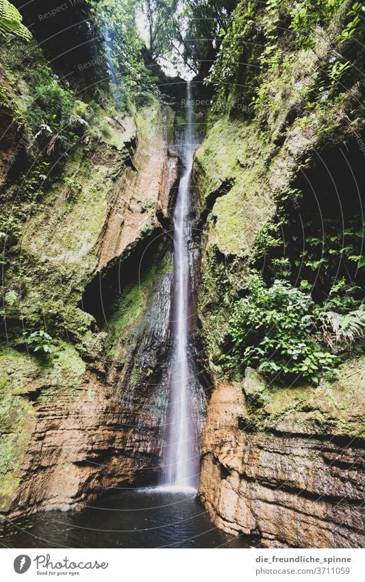 Wasserfall auf den Azoren Berge Natur Wassertropfen Außenaufnahme Berge u. Gebirge Umwelt Felsen Landschaft Menschenleer Bach Fluss grün Tag Schlucht Stein