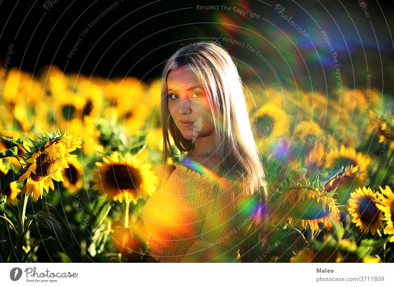 Porträt eines jungen Mädchens in einem Sonnenblumenfeld allein schön Schönheit Überstrahlung Kaukasier Sauberkeit Farbe Land Landschaft niedlich Kleid Feld