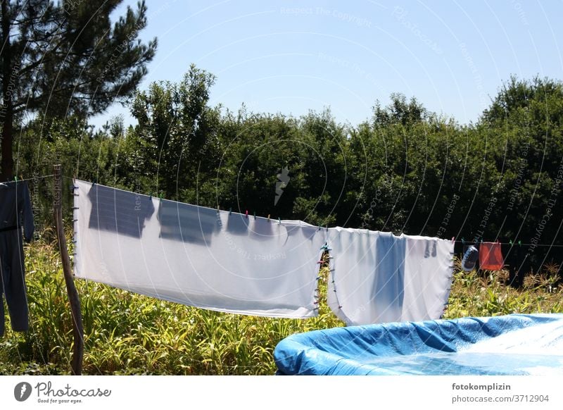 Wäscheleine mit transparenter Wäsche an einem Maisfeld Wäsche waschen Haushaltsführung trocknen aufhängen Sauberkeit Häusliches Leben Waschtag Bekleidung