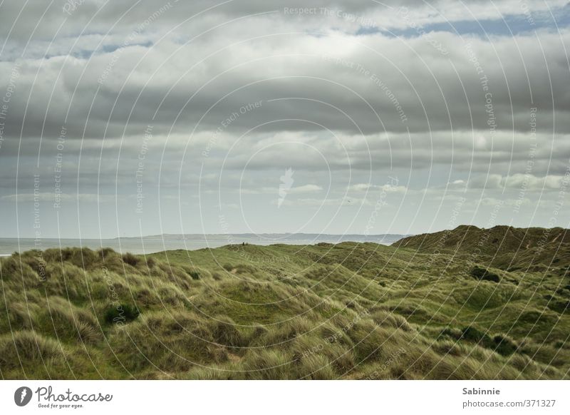 Balmedie Umwelt Natur Landschaft Urelemente Himmel Wolken Pflanze Gras Sträucher Moos Wildpflanze Hügel Küste Bucht Nordsee Aberdeen Schottland Menschenleer