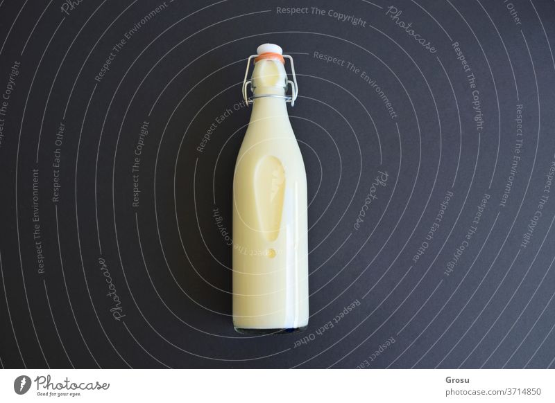 Milk bottle isolated on dark background with copy space for text glass white drink alcohol wine liquid object container beverage milk blank empty plastic