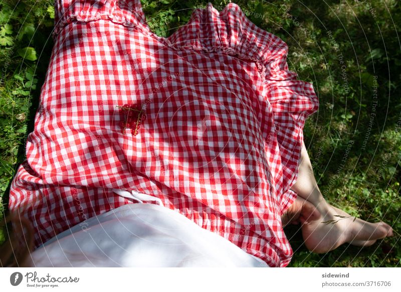 Ein Rock wie eine mit Johannisbeeren gedeckte Tischdecke kariert Picknick Kleid Sommer Früchte Tradition Rüschen Füße Barfuß Dirndl Gesundheit Außenaufnahme rot