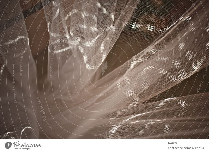 Gardine im Lichtstreif Mückenschutz Netz Strukturen & Formen Muster Menschenleer Schatten Lichtspiel Vorhang abstrakt Innenaufnahme Kontrast verschlungen