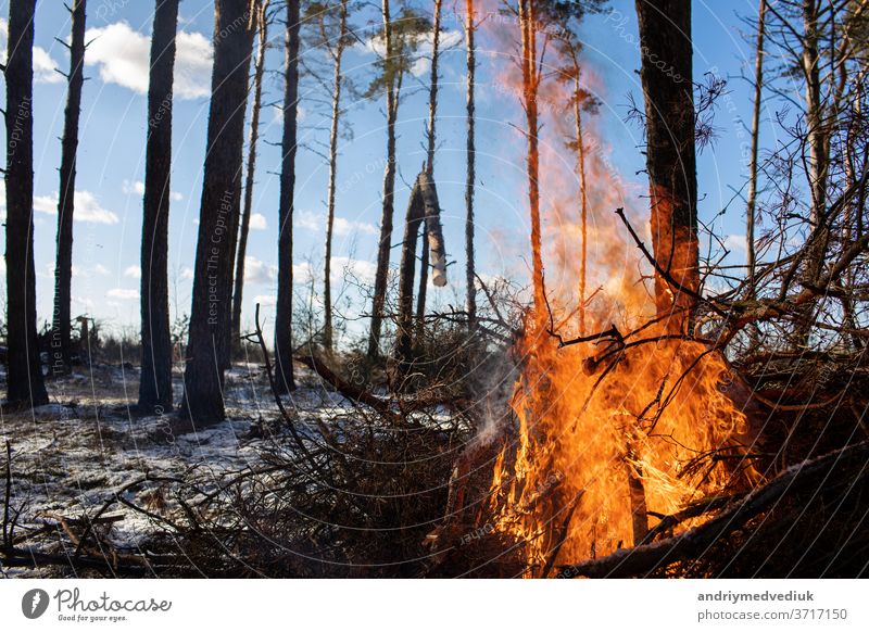 Brennendes Feuer. Das Lagerfeuer brennt im Wald. Textur des brennenden Feuers. Das Lagerfeuer zum Kochen im Wald. Verbrennen von trockenen Zweigen. Touristenfeuer im Wald. Textur von brennenden Zweigen