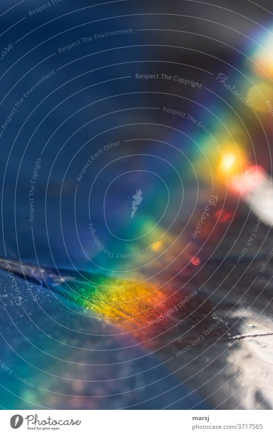 Regenbogenfarbene Erleuchtung regenbogenfarben außergewöhnlich wellig eigenwillig verrückt dunkel mehrfarbig skurril Farbfoto Außenaufnahme Experiment abstrakt