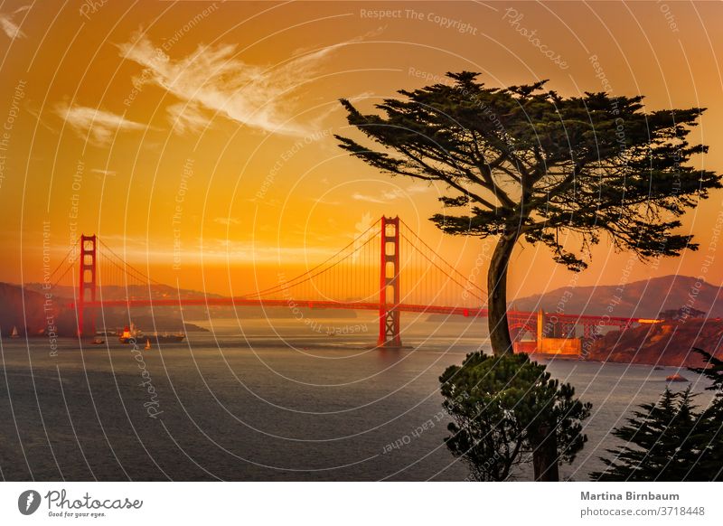 Die berühmte Golden Gate Bridge in San Francisco , von Lands End aus gesehen Brücke pazifik Kalifornien golden san francisco cavallo landet Ende Struktur