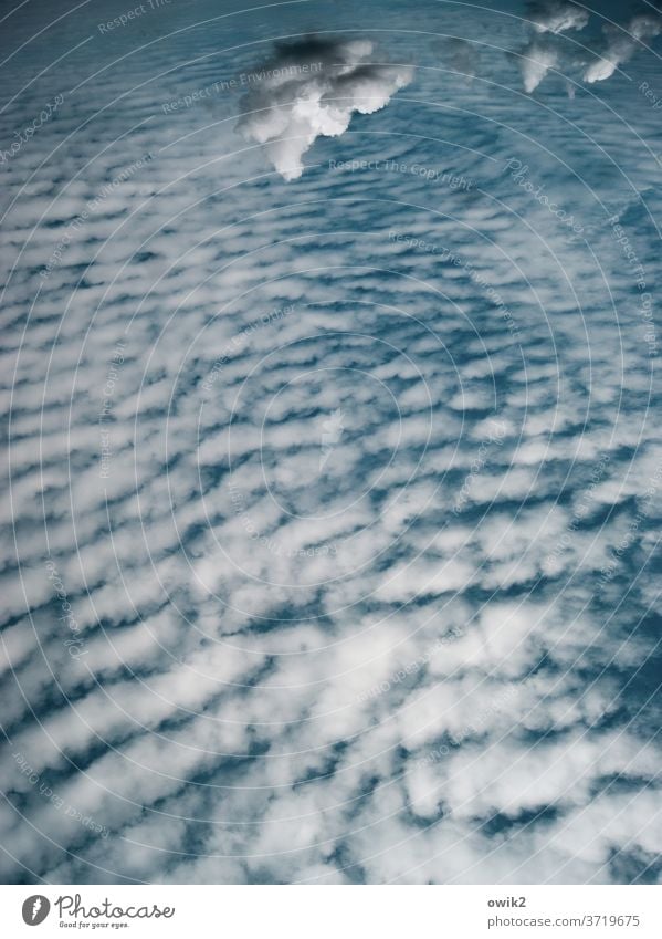Verflogen nur Himmel Wolken Schönes Wetter Wolkenhimmel Ferne weiß blau oben Wolkenbild Wolkenformation Unendlichkeit Detailaufnahme Außenaufnahme Farbfoto