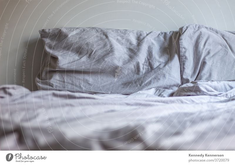 Bett mit grauen Kissen und Decken Schlafzimmer Schlafenszeit umfasst Kopfkissen Erholung Lügen Schot Lifestyle sich[Akk] entspannen Morgen Sonntagmorgen