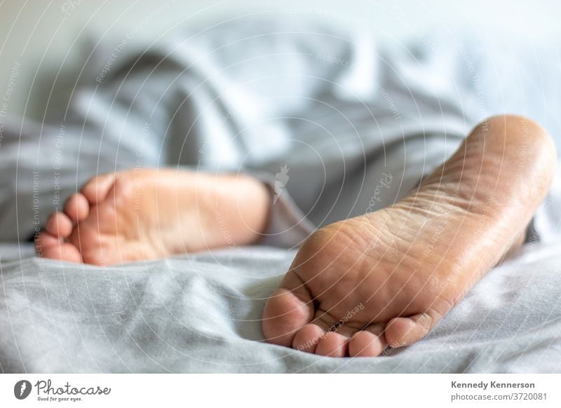 Frau/Mann im Bett, die sich unter einer Decke entspannen, wobei die Füße herausschauen Entspannung im Bett entspannend unter der Decke Schlafzimmer Fuß