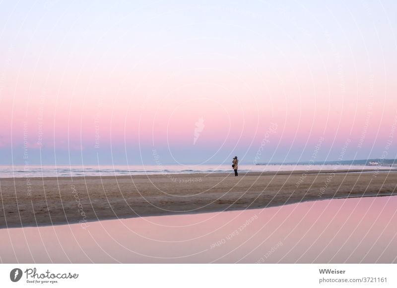 Fotografin steht einsam am Strand, es herrscht romantische Stimmung Küste Sonnenuntergang rosa pastellfarben sanft weit still fotografieren minimalistisch