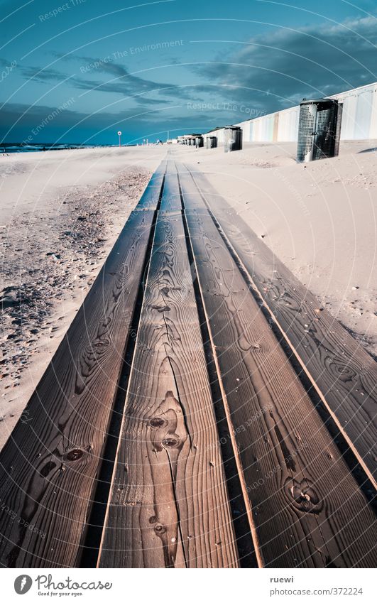 Schön, auf dem Holzweg zu sein. Freizeit & Hobby Ferien & Urlaub & Reisen Tourismus Ferne Freiheit Sommer Sommerurlaub Strand Meer Sand Himmel Wolken Klima