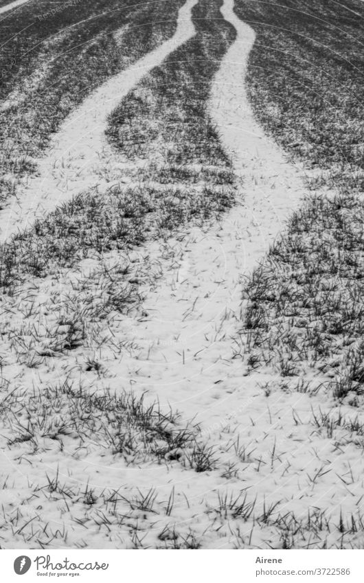 Weideland - kann Spuren von Schnee enthalten Landwirtschaft Wiese trist weiß Einsamkeit ländlich Wege & Pfade Gras Linie dunkel grau Winter krumm vorwärts