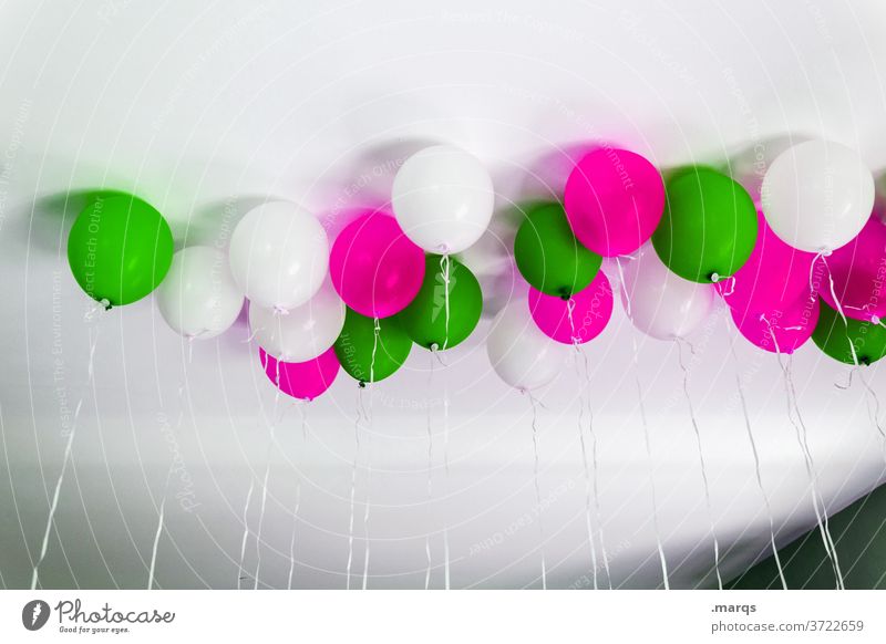 Ballons Luftballon weiß grün pink Feste & Feiern Party Dekoration & Verzierung Geburtstag Fröhlichkeit Freude Veranstaltung Farbe Hochzeit
