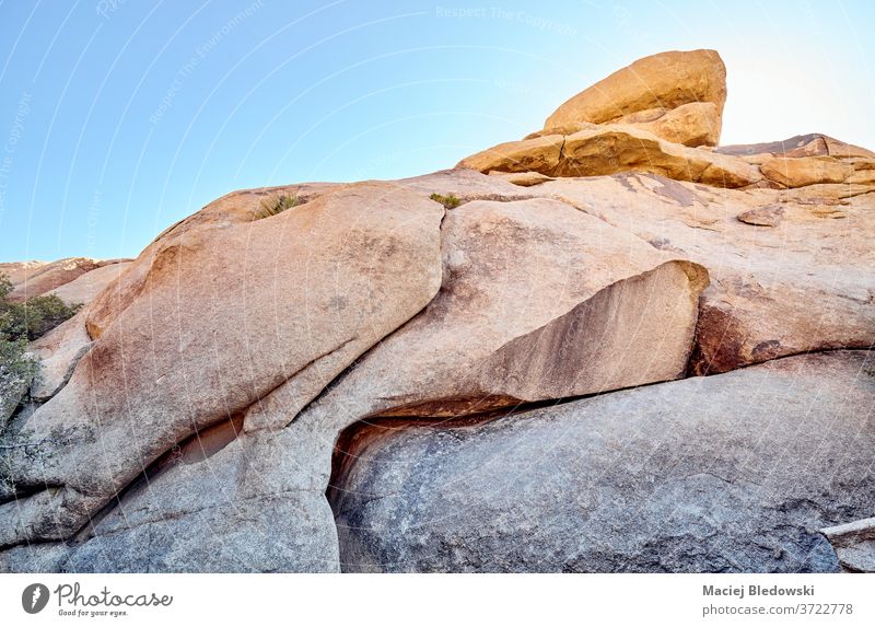 Felsformationen im Joshua-Tree-Nationalpark bei Sonnenuntergang, USA. Felsen Erosion metamorph Quarz Natur joshua-baum-nationalpark Kalifornien Monzogranit