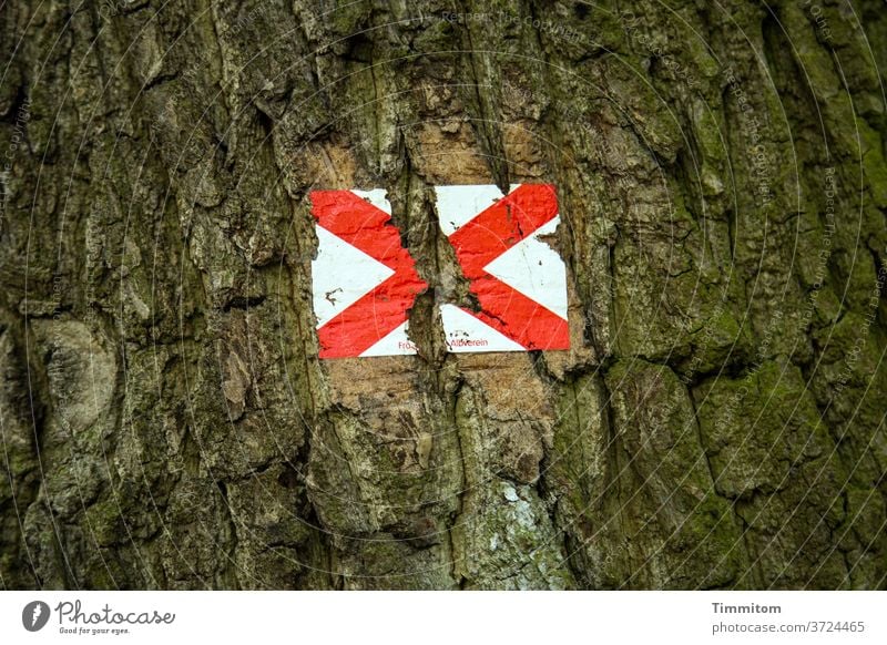 Dem starken Wachstum konnte die Wegmarkierung nicht mehr standhalten Baum Baumstamm Rinde Holz Schilder & Markierungen Kreuz braun rot weiß Außenaufnahme