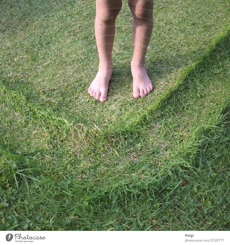 Kinderfüße barfuß auf dem Rasen, dem vom Plantschbecken ein Muster aufgedrückt wurde Beine Füße Wiese Struktur platt Sommer Gras Außenaufnahme Garten Natur Fuß