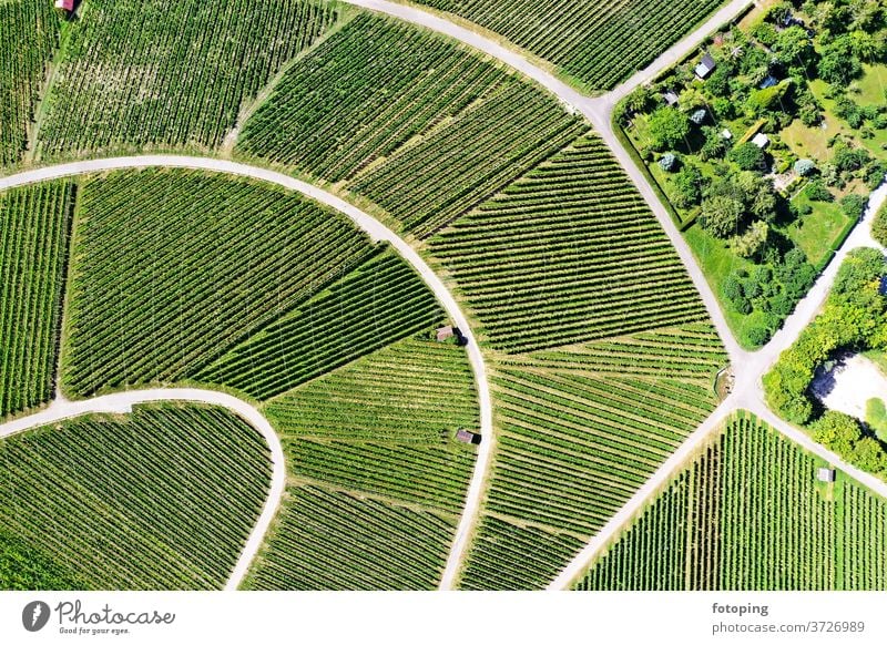Weinberg von oben Draufsicht Bild Luftbild Drohne Drohnen Bilder Luftaufnahme Vogelperspektive grün Weinbau Reben Landwirtschaft fotoping abstrakt grüner