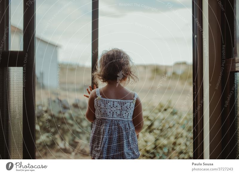 Kind schaut durch Fenster Rückansicht Kindheit zu Hause zu Hause bleiben im Innenbereich 1-3 Jahre Farbfoto Interesse Kontrast Licht Tag Haare & Frisuren