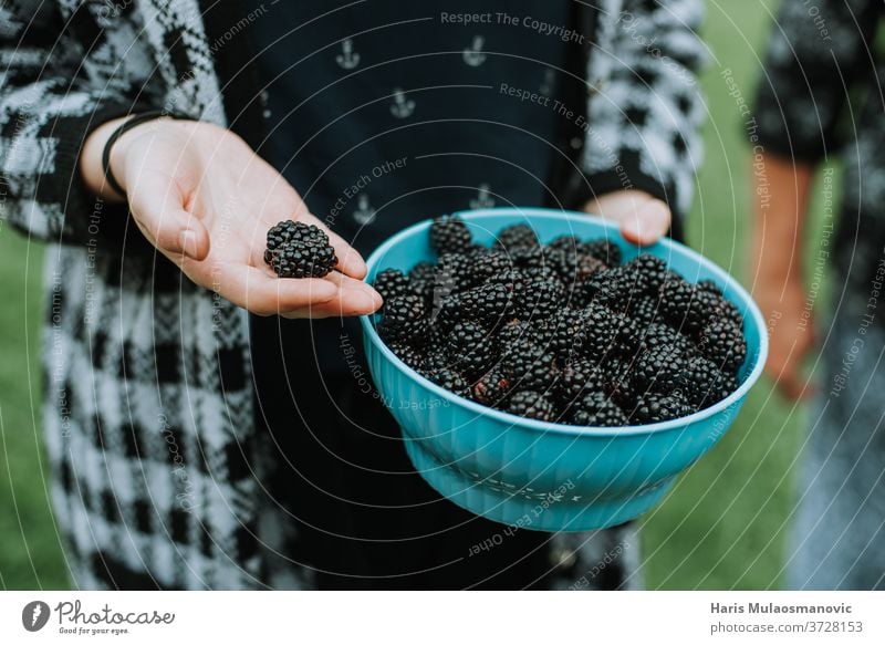 Mit frischen, biologisch gepflückten Brombeeren aus dem Garten Ackerbau Hintergrund schwarz Schalen & Schüsseln braun Nahaufnahme Kaffee dunkel Lebensmittel