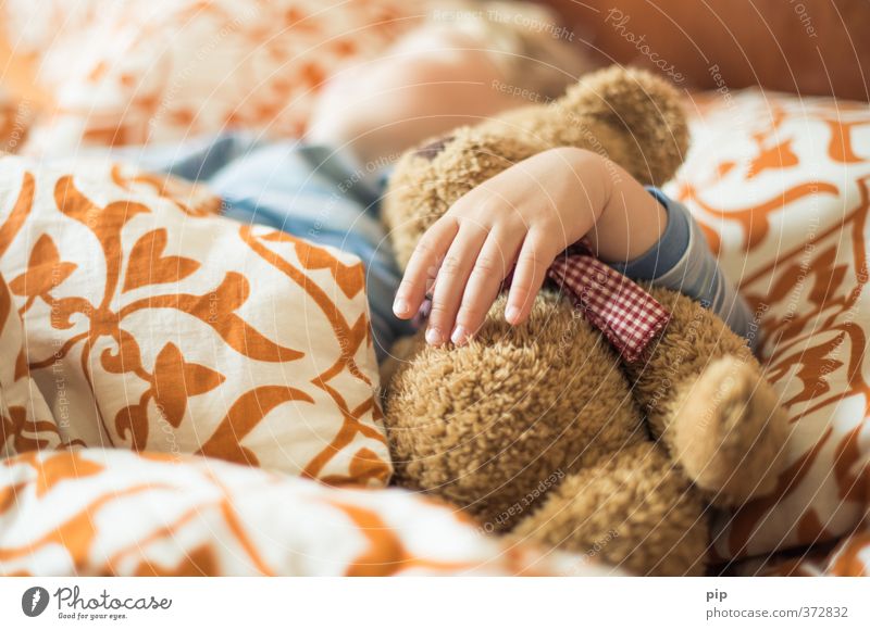 kuschelbär Mensch Kind Kleinkind Hand Finger 1 3-8 Jahre Kindheit Kinderzimmer Schlafzimmer Bettwäsche Kissen Teddybär schlafen hell niedlich ruhig Geborgenheit