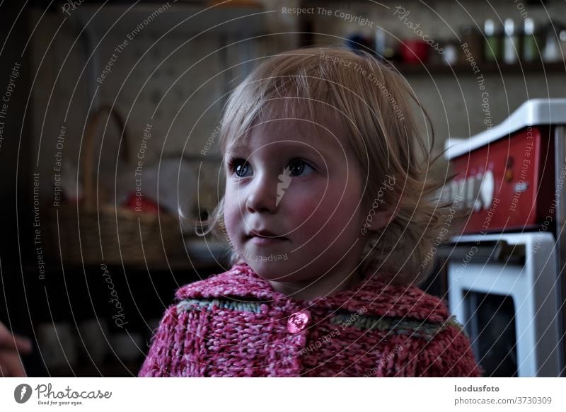 Porträt eines jungen hübschen Mädchens Auge Gesicht Nahaufnahme Behaarung blond Glück Blick Kind