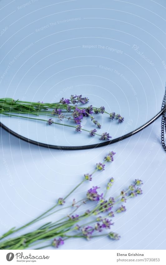 Blühender Lavendel mit Reflexion im Spiegel. Blume Reflexion & Spiegelung vertikal violette Blumen purpur geblümt Design natürlich Natur Aromatherapie Blüte
