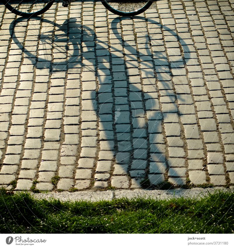 Sonnenschein auf dem Weg mit dem Rad Fahrradfahren Sommer Wege & Pfade Kopfsteinpflaster Prenzlauer Berg Stimmung lang Mensch Gelassenheit Mobilität Perspektive