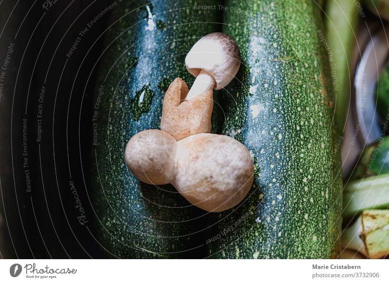 Einzigartiger Pilz, der der Form der männlichen Genitalien gegen frische Zucchinni ähnelt, um Humor und Konzept von Sexualität, Fruchtbarkeit und lgbtq zu zeigen