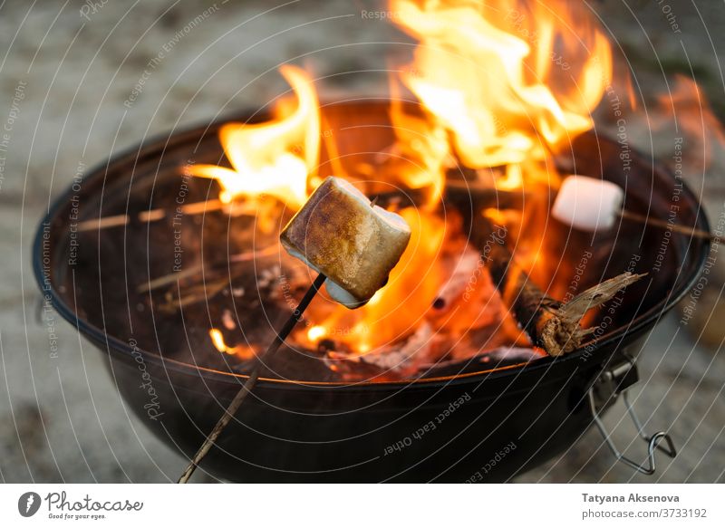Gebratener Marshmallow am Feuer Lagerfeuer Freudenfeuer grillen süß Feuerstelle Lebensmittel Barbecue Flamme Braten Röstung Sommer kleben Abend lecker im Freien