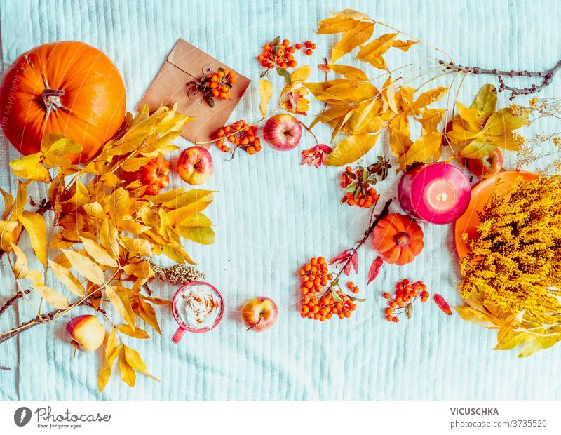 Herbstliche Stimmung. Verschiedene Herbstdekorationen. Kürbis, Tasse heiße Schokolade, Kerze auf blauer Strickdecke. Rahmen. Flach gelegt. Ansicht von oben